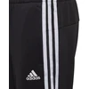 Adidas Aeroready Primegreen Jr kelnės GT9417