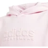Adidas Allszn Gfx HD Jr džemperis IN2844