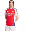 adidas Arsenal 24/25 Namų Autentiški Vyriški Marškinėliai Raudoni IT6140
