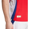 adidas Arsenal 24/25 Namų Autentiški Vyriški Marškinėliai Raudoni IT6140