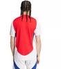adidas Arsenal 24/25 Namų Autentiški Vyriški Marškinėliai Raudoni IT6140