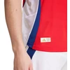 adidas Arsenal 24/25 Namų Autentiški Vyriški Marškinėliai Raudoni IT6140