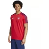 Adidas Arsenal London DNA Marškinėliai M IT4104