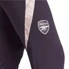 Adidas Arsenal London Training Pantalonai M JF2916
