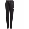 Adidas B 3S Pt Jr kelnės GN1498