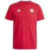 Adidas Bayern Miunchen DNA Marškinėliai M IT4143