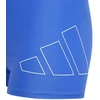 adidas BB Bokseriai Jaunesniems "IK9653" plaukimo šortai