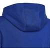 Adidas Big Logo Essentials džemperis Jr HN1912
