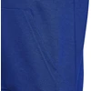 Adidas Big Logo Essentials džemperis Jr HN1912