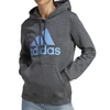 Adidas Big Logo FL R HD W IC9845 džemperis