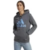 Adidas Big Logo FL R HD W IC9845 džemperis