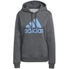 Adidas Big Logo FL R HD W IC9845 džemperis