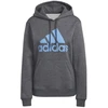 Adidas Big Logo FL R HD W IC9845 džemperis