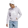 Adidas Big Logo FT R HD W IC6899 džemperis
