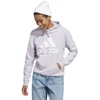 Adidas Big Logo FT R HD W IC6899 džemperis