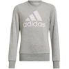 Adidas Big Logo Swt Jr HM8706 džemperis