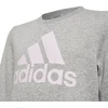 Adidas Big Logo Swt Jr HM8706 džemperis