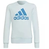 Adidas Big Logo Swt Jr HM8707 Džemperis