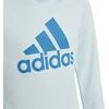 Adidas Big Logo Swt Jr HM8707 Džemperis