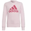 Adidas Big Logo SWT Jr HM8709 džemperis