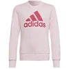 Adidas Big Logo SWT Jr HM8709 džemperis