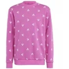 Adidas Bluv Swt Jr IC5573 džemperis