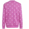 Adidas Bluv Swt Jr IC5573 džemperis