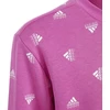 Adidas Bluv Swt Jr IC5573 džemperis