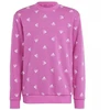 Adidas Bluv Swt Jr IC5573 džemperis