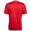 adidas Campeon 25 marškinėliai M JF6058