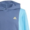 Adidas Cb Ft Hd Jr džemperis IS2689