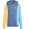 Adidas Cb Ft Hd Jr džemperis IS2689