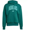 Adidas Collegiate Hoodie M KC3873 sportinis džemperis