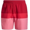 Adidas Colorb M GU0312 šortai