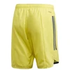 Adidas Condivo 20 M FI4578 šortai