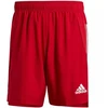 adidas Condivo 21 Primeblue šortai M GJ6810