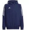Adidas Condivo 22 All-Weather striukė M HA6266
