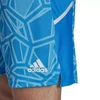 Adidas Condivo 22 M HB1629 vartininko šortai