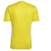 Adidas Condivo 22 M Marškinėliai HD2267