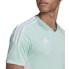 Adidas Condivo 22 Marškinėliai HD2271