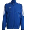 Adidas Condivo 22 pristatymo striukė M HA6245 džemperis