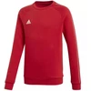 Adidas Core 18 SW Top JR CV3970 sportinis megztinis