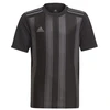 adidas Dry-Fit 21 Jr Marškinėliai GN7634