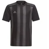 adidas Dry-Fit 21 Jr Marškinėliai GN7634