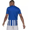 Adidas Dry-fit 21 JSY M GH7321 Marškinėliai