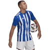 Adidas Dry-fit 21 JSY M GH7321 Marškinėliai