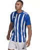 Adidas Dry-fit 21 JSY M GH7321 Marškinėliai