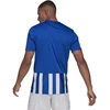 Adidas Dry-fit 21 JSY M GH7321 Marškinėliai