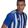 Adidas Dry-fit 21 JSY M GH7321 Marškinėliai