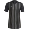 Adidas Dry-Fit 21 JSY M GN7625 marškinėliai